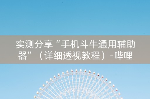 实测分享“手机斗牛通用辅助器”（详细透视教程）-哔哩哔哩