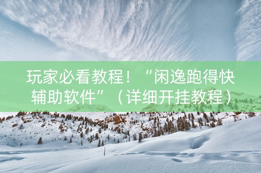 玩家必看教程！“闲逸跑得快辅助软件”（详细开挂教程）-哔哩哔哩
