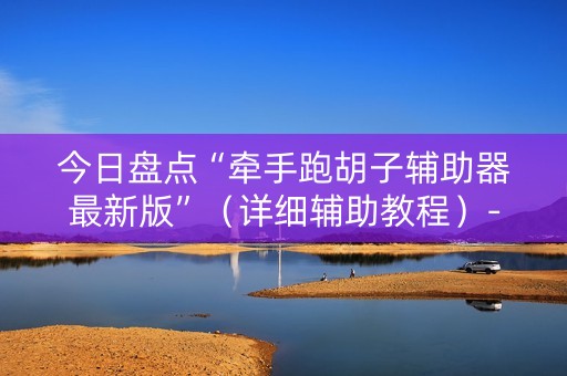 今日盘点“牵手跑胡子辅助器最新版”（详细辅助教程）-哔哩哔哩