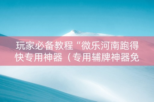 玩家必备教程“微乐河南跑得快专用神器（专用辅牌神器免安装）