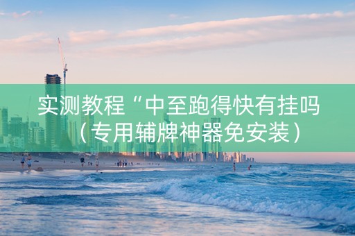 实测教程“中至跑得快有挂吗（专用辅牌神器免安装）