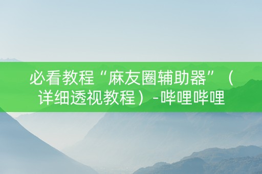 必看教程“麻友圈辅助器”（详细透视教程）-哔哩哔哩