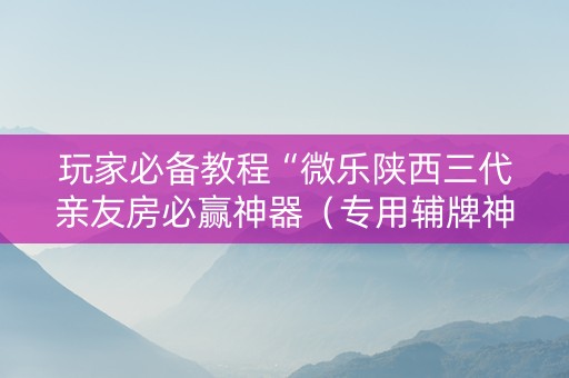 玩家必备教程“微乐陕西三代亲友房必赢神器（专用辅牌神器免安装）