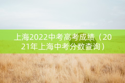上海2022中考高考成绩（2021年上海中考分数查询）