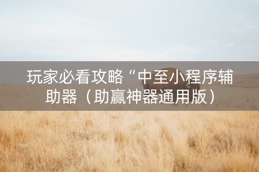 玩家必看攻略“中至小程序辅助器（助赢神器通用版）