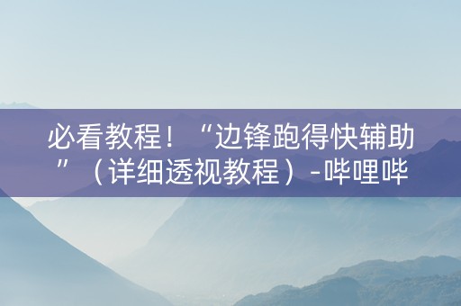 必看教程！“边锋跑得快辅助”（详细透视教程）-哔哩哔哩