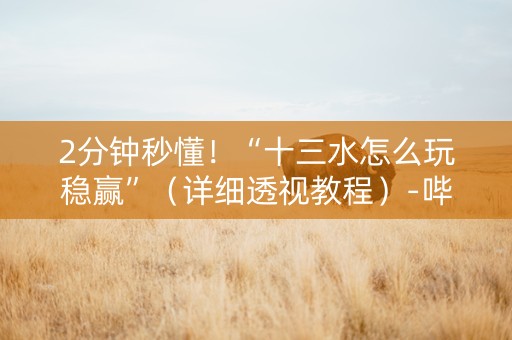 2分钟秒懂！“十三水怎么玩稳赢”（详细透视教程）-哔哩哔哩