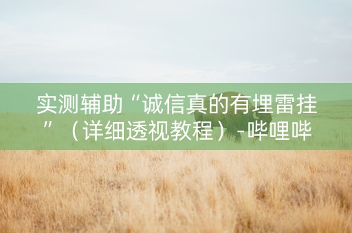实测辅助“诚信真的有埋雷挂”（详细透视教程）-哔哩哔哩