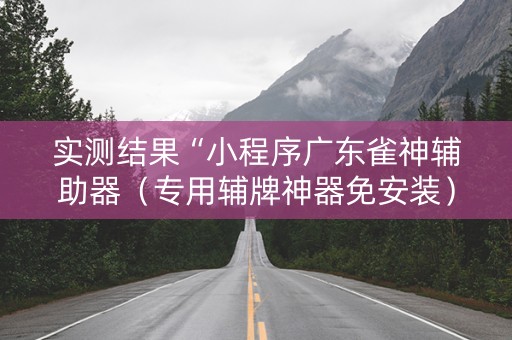 实测结果“小程序广东雀神辅助器（专用辅牌神器免安装）