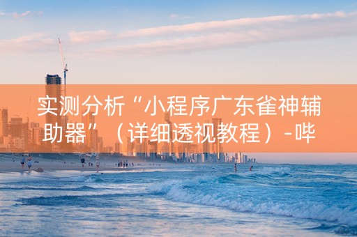 实测分析“小程序广东雀神辅助器”（详细透视教程）-哔哩哔哩
