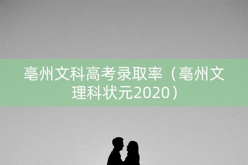 亳州文科高考录取率（亳州文理科状元2020）