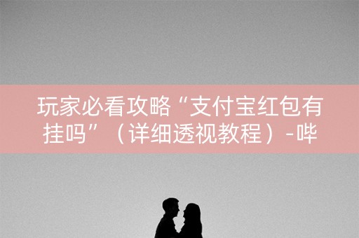 玩家必看攻略“支付宝红包有挂吗”（详细透视教程）-哔哩哔哩