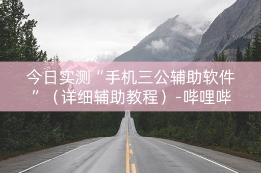 今日实测“手机三公辅助软件”（详细辅助教程）-哔哩哔哩