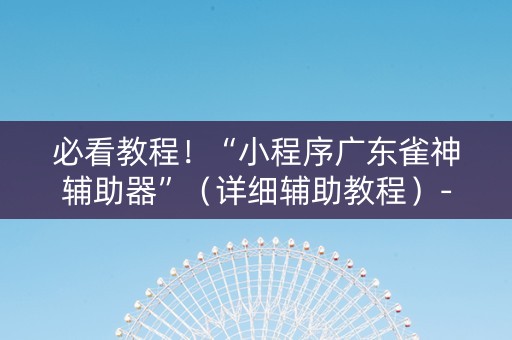 必看教程！“小程序广东雀神辅助器”（详细辅助教程）-哔哩哔哩