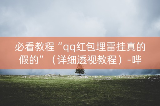 必看教程“qq红包埋雷挂真的假的”（详细透视教程）-哔哩哔哩