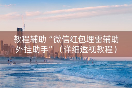 教程辅助“微信红包埋雷辅助外挂助手”（详细透视教程）-哔哩哔哩