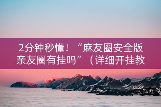 2分钟秒懂！“麻友圈安全版亲友圈有挂吗”（详细开挂教程）-哔哩哔哩