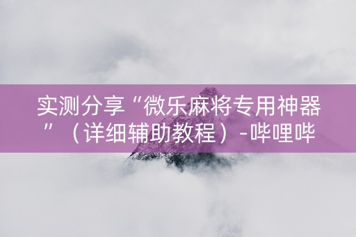 实测分享“微乐麻将专用神器”（详细辅助教程）-哔哩哔哩