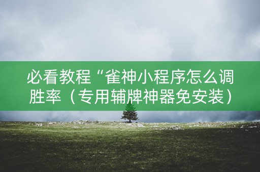 必看教程“雀神小程序怎么调胜率（专用辅牌神器免安装）