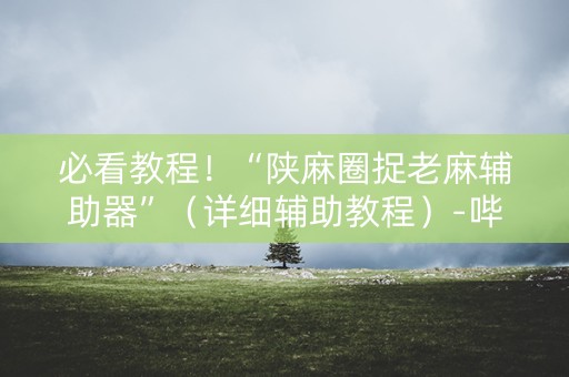 必看教程！“陕麻圈捉老麻辅助器”（详细辅助教程）-哔哩哔哩