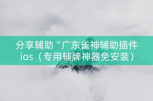 分享辅助“广东雀神辅助插件ios（专用辅牌神器免安装）