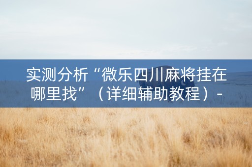 实测分析“微乐四川麻将挂在哪里找”（详细辅助教程）-哔哩哔哩