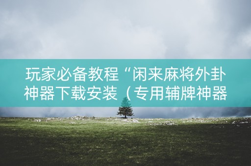 玩家必备教程“闲来麻将外卦神器下载安装（专用辅牌神器免安装）