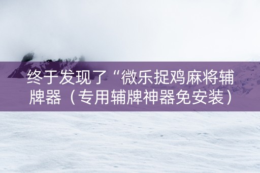终于发现了“微乐捉鸡麻将辅牌器（专用辅牌神器免安装）