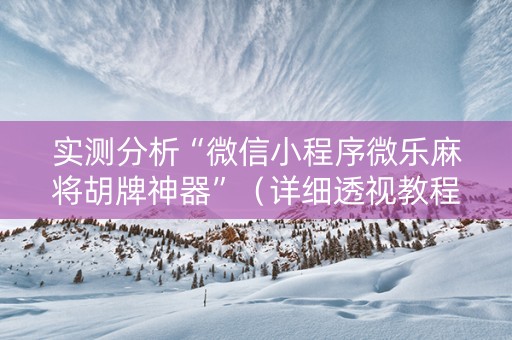 实测分析“微信小程序微乐麻将胡牌神器”（详细透视教程）-哔哩哔哩