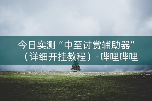 今日实测“中至讨赏辅助器”（详细开挂教程）-哔哩哔哩