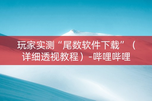 玩家实测“尾数软件下载”（详细透视教程）-哔哩哔哩
