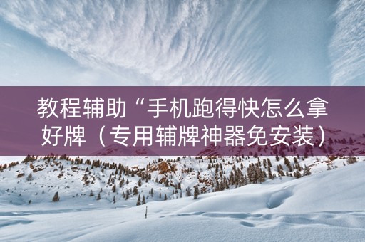 教程辅助“手机跑得快怎么拿好牌（专用辅牌神器免安装）