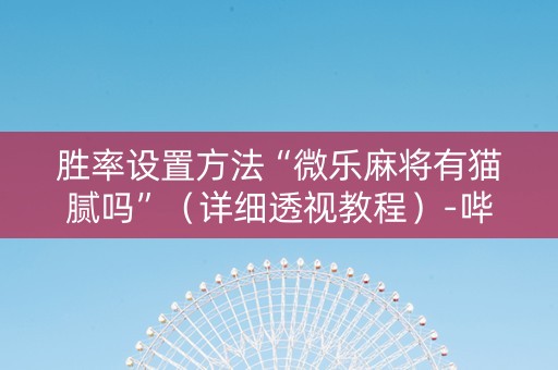胜率设置方法“微乐麻将有猫腻吗”（详细透视教程）-哔哩哔哩