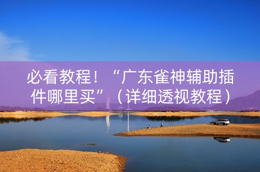 必看教程！“广东雀神辅助插件哪里买”（详细透视教程）-哔哩哔哩