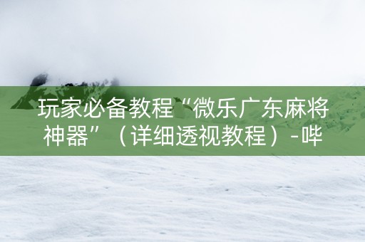 玩家必备教程“微乐广东麻将神器”（详细透视教程）-哔哩哔哩