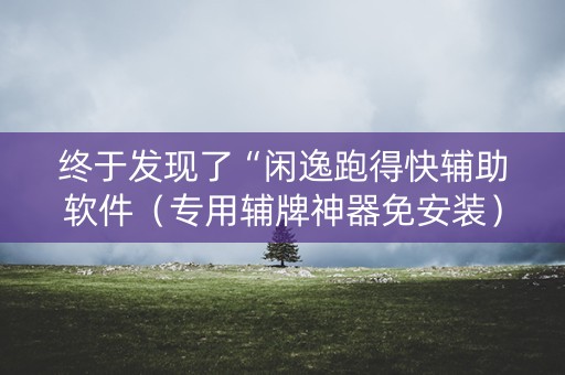 终于发现了“闲逸跑得快辅助软件（专用辅牌神器免安装）