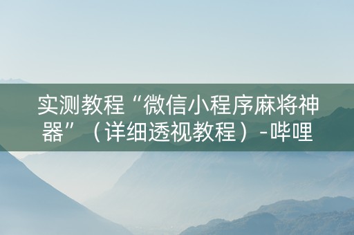 实测教程“微信小程序麻将神器”（详细透视教程）-哔哩哔哩