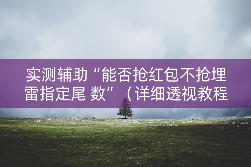 实测辅助“能否抢红包不抢埋雷指定尾 数”（详细透视教程）-哔哩哔哩