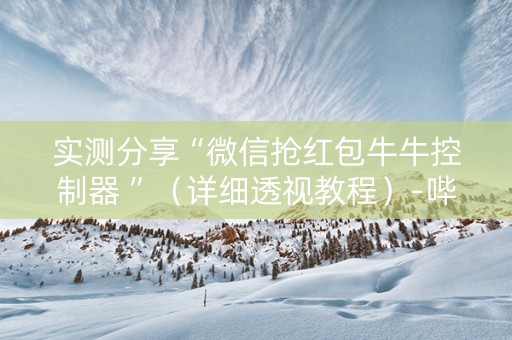 实测分享“微信抢红包牛牛控制器 ”（详细透视教程）-哔哩哔哩