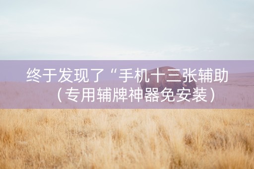 终于发现了“手机十三张辅助（专用辅牌神器免安装）