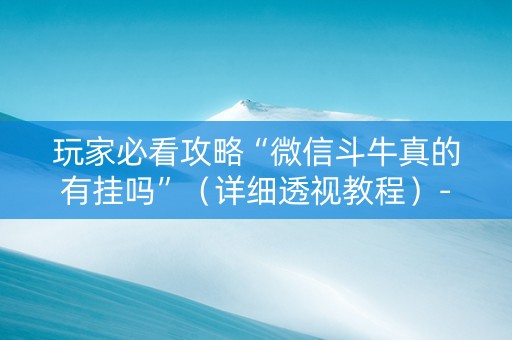 玩家必看攻略“微信斗牛真的有挂吗”（详细透视教程）-哔哩哔哩