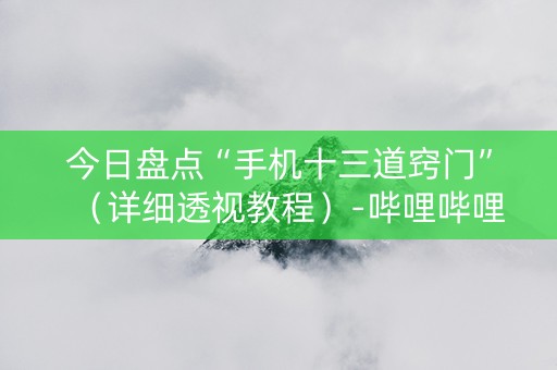 今日盘点“手机十三道窍门”（详细透视教程）-哔哩哔哩