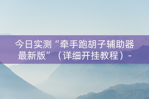 今日实测“牵手跑胡子辅助器最新版”（详细开挂教程）-哔哩哔哩