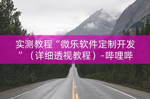 实测教程“微乐软件定制开发”（详细透视教程）-哔哩哔哩