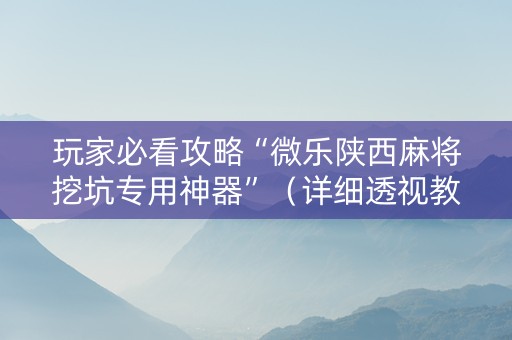 玩家必看攻略“微乐陕西麻将挖坑专用神器”（详细透视教程）-哔哩哔哩