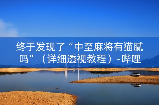 终于发现了“中至麻将有猫腻吗”（详细透视教程）-哔哩哔哩
