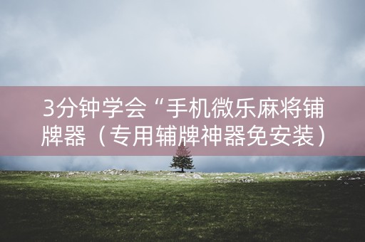 3分钟学会“手机微乐麻将铺牌器（专用辅牌神器免安装）
