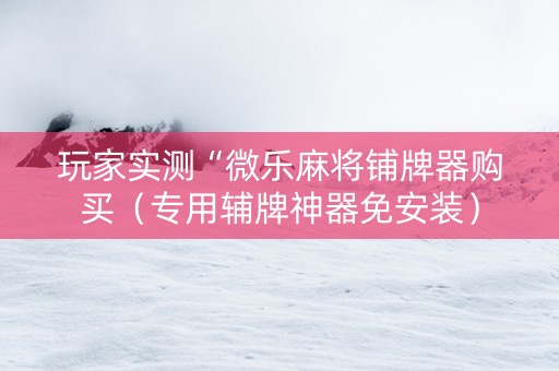 玩家实测“微乐麻将铺牌器购买（专用辅牌神器免安装）