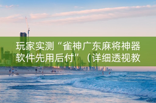 玩家实测“雀神广东麻将神器软件先用后付”（详细透视教程）-哔哩哔哩