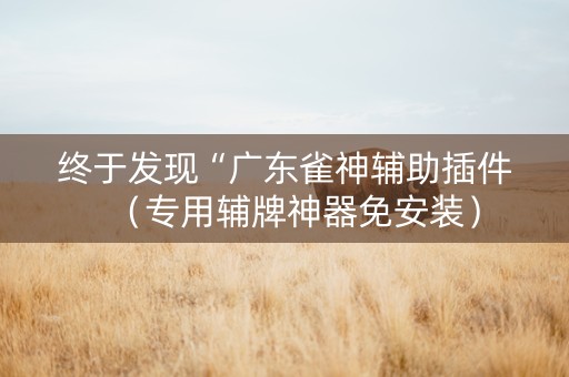 终于发现“广东雀神辅助插件（专用辅牌神器免安装）